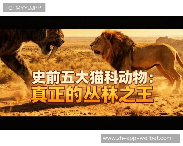 美洲虎与老虎的力量对决谁才是丛林之王的真正霸主